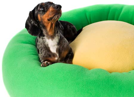 Cozy Puff Dog Bed
