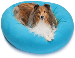 Sheltie in Cozy Puff dog bed
