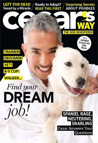 Cesar's Way Magazine